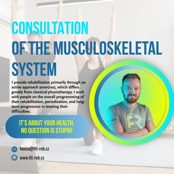 Online consultation with a trainer and physiotherapist